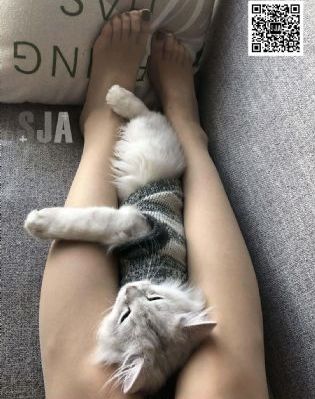 国产十大户外音响品牌_DVD高清视频播放